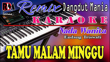 Tamu Malam Minggu - Endang Triswati || Karaoke (Nada Wanita) Dj Mix Dut Orgen Tunggal