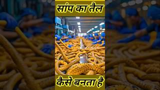 सांप का तैल कैसे निकालते हैं फैक्ट्री में। Snake oil Benefits #snake #snakeoil #snakes #shorts
