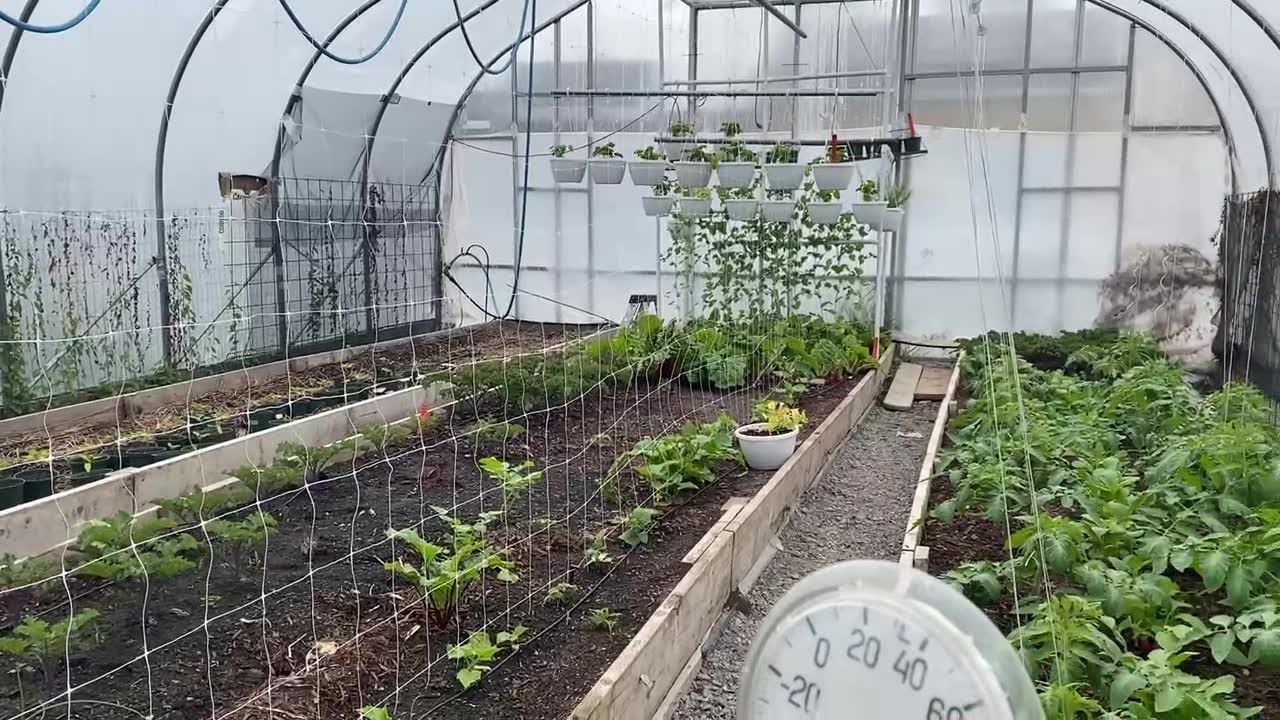 Buffalo Go Green’s greenhouse in Buffalo YouTube