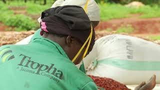 Annual Review 2022 - Improving the livelihoods of smallholder farmers - AgDevCo