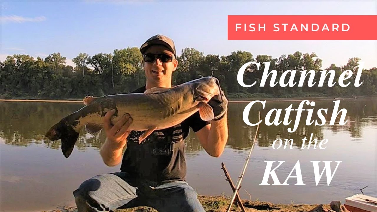 Channel Catfish on the Kansas River YouTube
