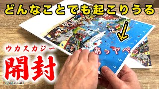 【開封・感想・解説】どんなことでも起こりうる/ウカスカジー「収録曲の感想も」