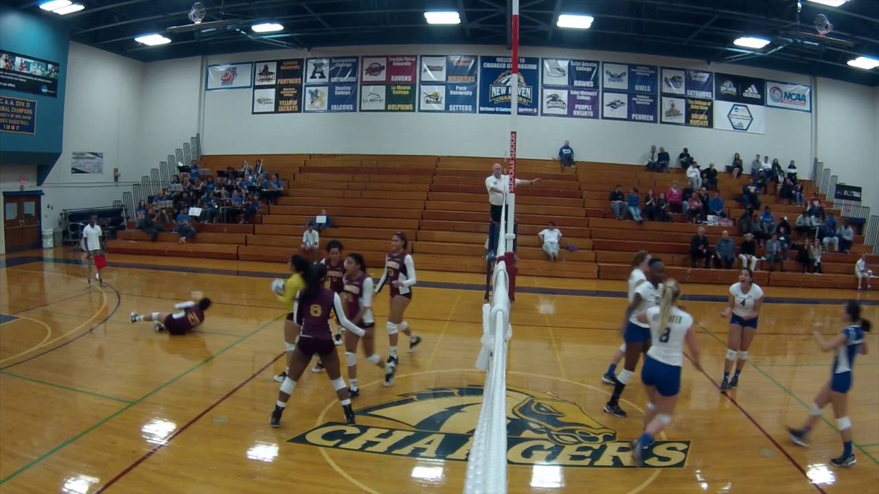 New Haven Volleyball Highlights vs. Bloomfield YouTube