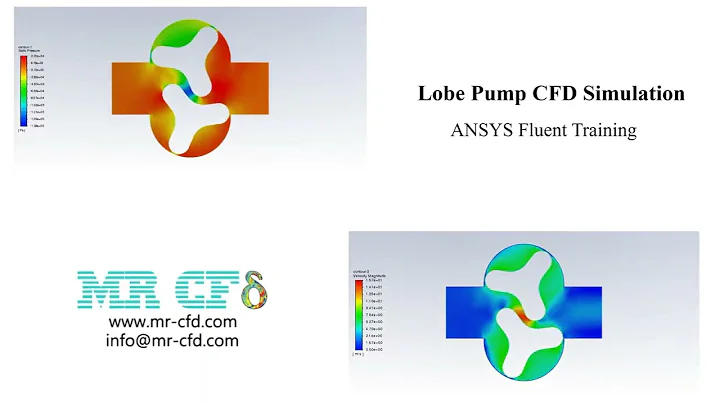 Lobe Pump CFD Simulation, ANSYS Fluent Training