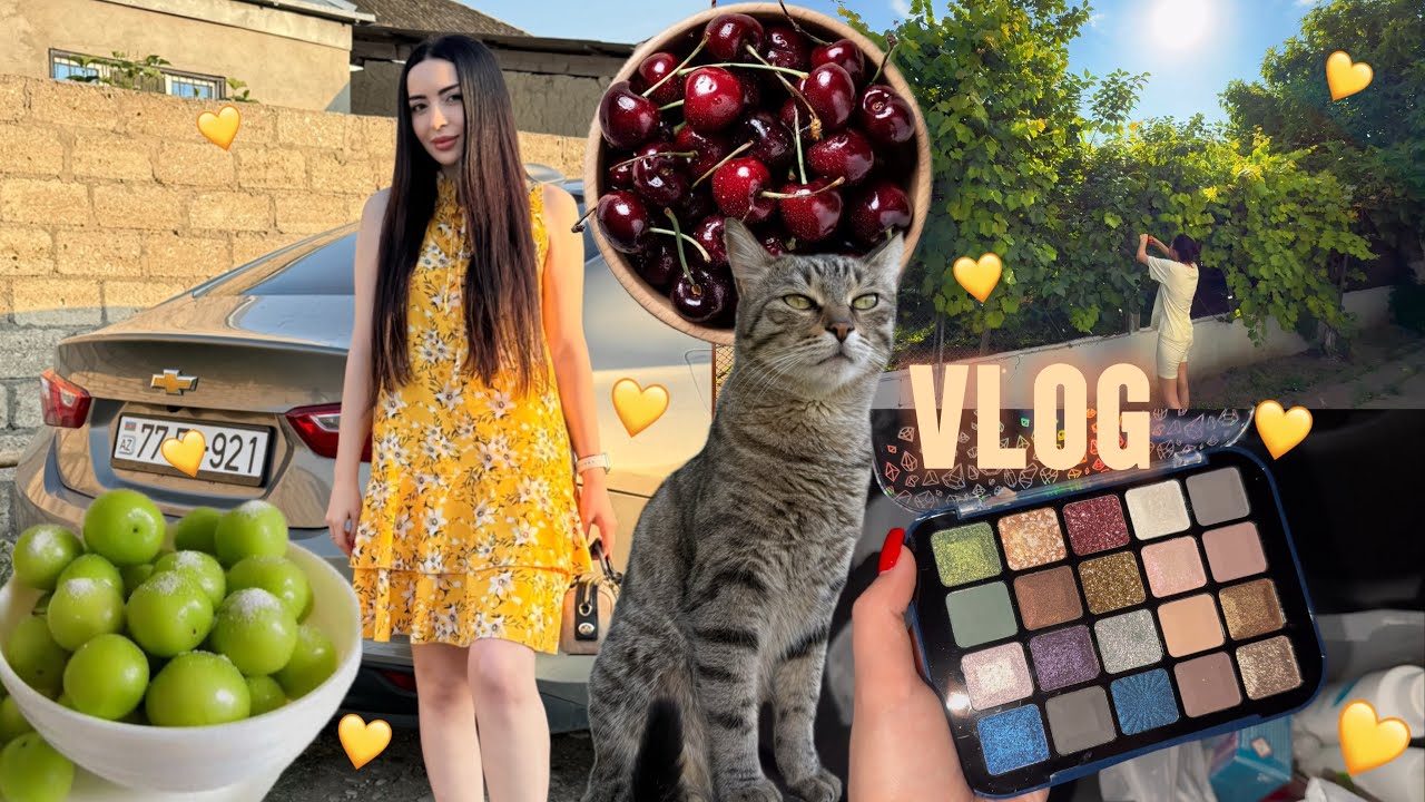 BAKİDA 2Cİ EV ALDIM? 🌳 KƏND HEYATI VLOG 🇦🇿 Ayka 14