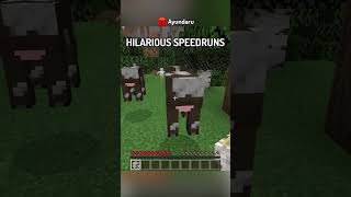 I Found The Funniest FAKE Minecraft Speedrun…