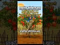 घर पर बनाएं सुपर जैविक खाद! 🌿🔥 | 100% Natural Fertilizer Trick | RS_Facts #shorts #short #ytshorts