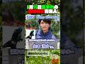 5月15日生まれの東映特撮有名人 #仮面ライダー #スーパー戦隊 #特撮