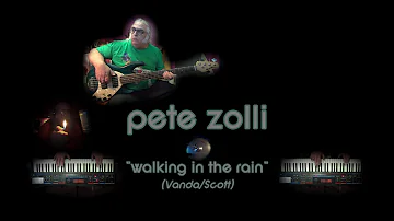 Pete Zolli: "Walking In The Rain" (Flash And The Pan cover)