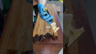 Mein Sohn Bettelte Mich An, Noch Fünf Minuten Im Park Zu Bleiben. Ich Hatte Keine Ahnung, D Er