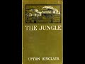 "The Jungle," Kindle pages 7-9