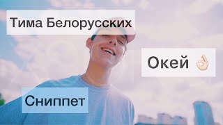 Тима Белорусских — Окей (Сниппет)