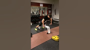 Chest supported row, with dumbbells, elbows high - [Back Exercise]