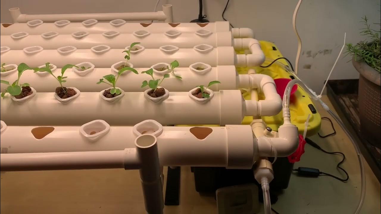 VIVOSUN Hydroponics Growing System 54 plants (Amazon) YouTube