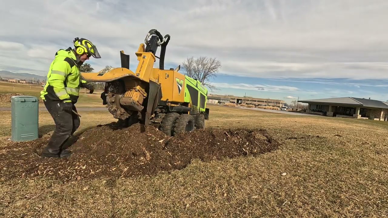Aurora golf course stump removal 