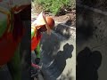 Making A Molded Concrete Ditch - Good Tools And Machinery Make Work Easy!