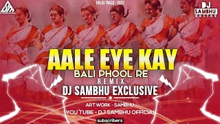 AALE EYA KAY BALI PHOOL RE - HALBI MIX @djsambhuofficial3128