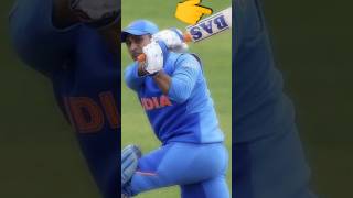 MS Dhoni के Bat पर लगे Sticker की Story ! MS Dhoni With Somi Kohli #msdhoni #cricket #ipl2024 #csk