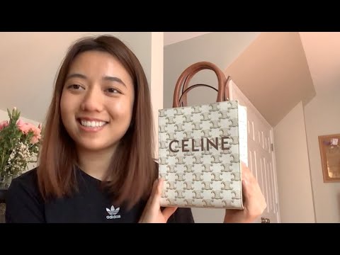 Celine Small Cabas Vertical Tote in Triomphe Canvas and Calfskin