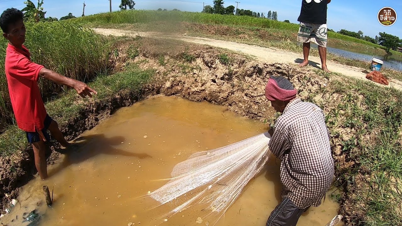 ตึกแห หว่านแห ทอดแห!! สูตรนี้ปลดแทบไม่ไหว
