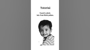 Convert Photo to Cross Stitch Pattern #crossstitchtutorial