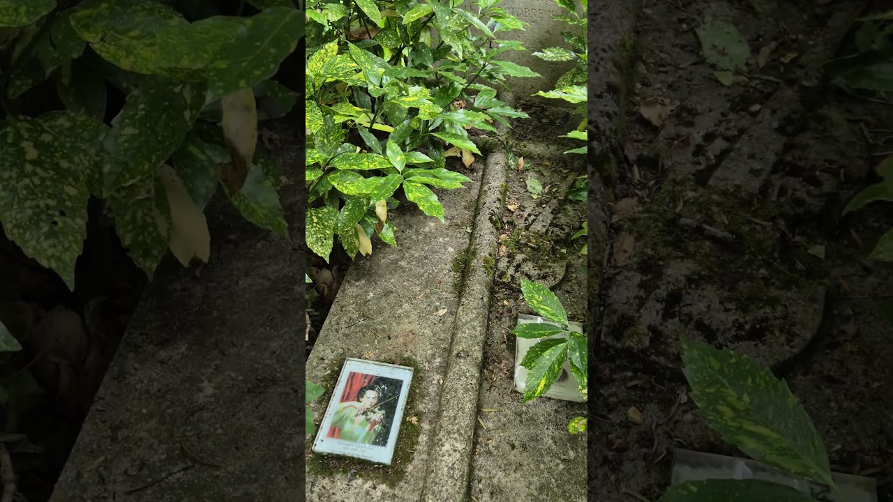 Tomb of violinist 🎻 Ginette Neveu at Pere Lachaise,  Paris