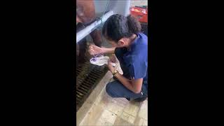 Como Se Hace La Prueba De Cmt California Masis Test, En Finca