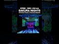世界遺産・元離宮 二条城2026「SAKURA NIGHTS」Immersive Theatre & Projection Mapping 2