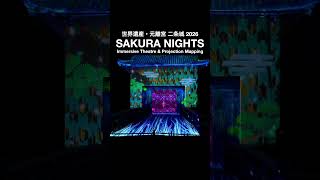 世界遺産・元離宮 二条城2026「SAKURA NIGHTS」Immersive Theatre &amp; Projection Mapping 2