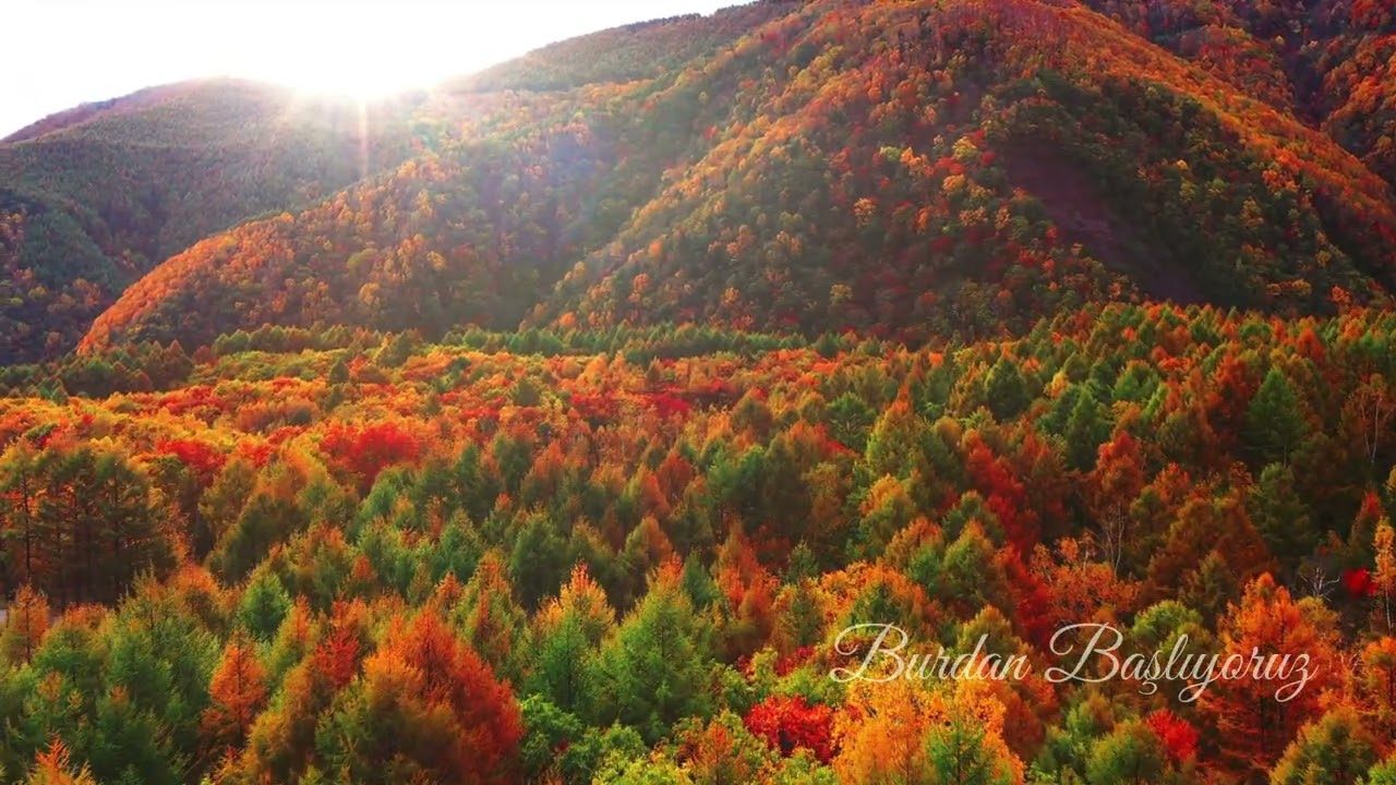 Burdan Başlıyoruz | Indie Pop / Electro Pop | Official Audio