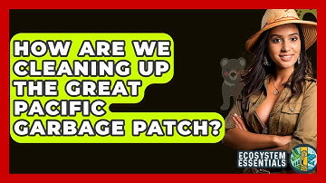 How Are We Cleaning Up The Great Pacific Garbage Patch? - Ecosystem Essentials