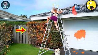 TOTAL IDIOTS AT WORK | Instant Regret Fails Compilation 2026 #306 | Best Fails of the Week