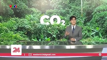 Cuộc chạy đua về 0 với kinh tế xanh (VTV24, 01/2023)