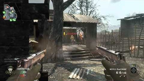 Black ops - M1911 Dual Wield