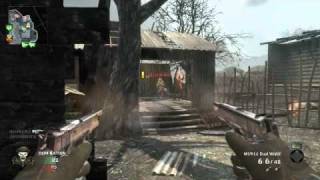 Black ops - M1911 Dual Wield
