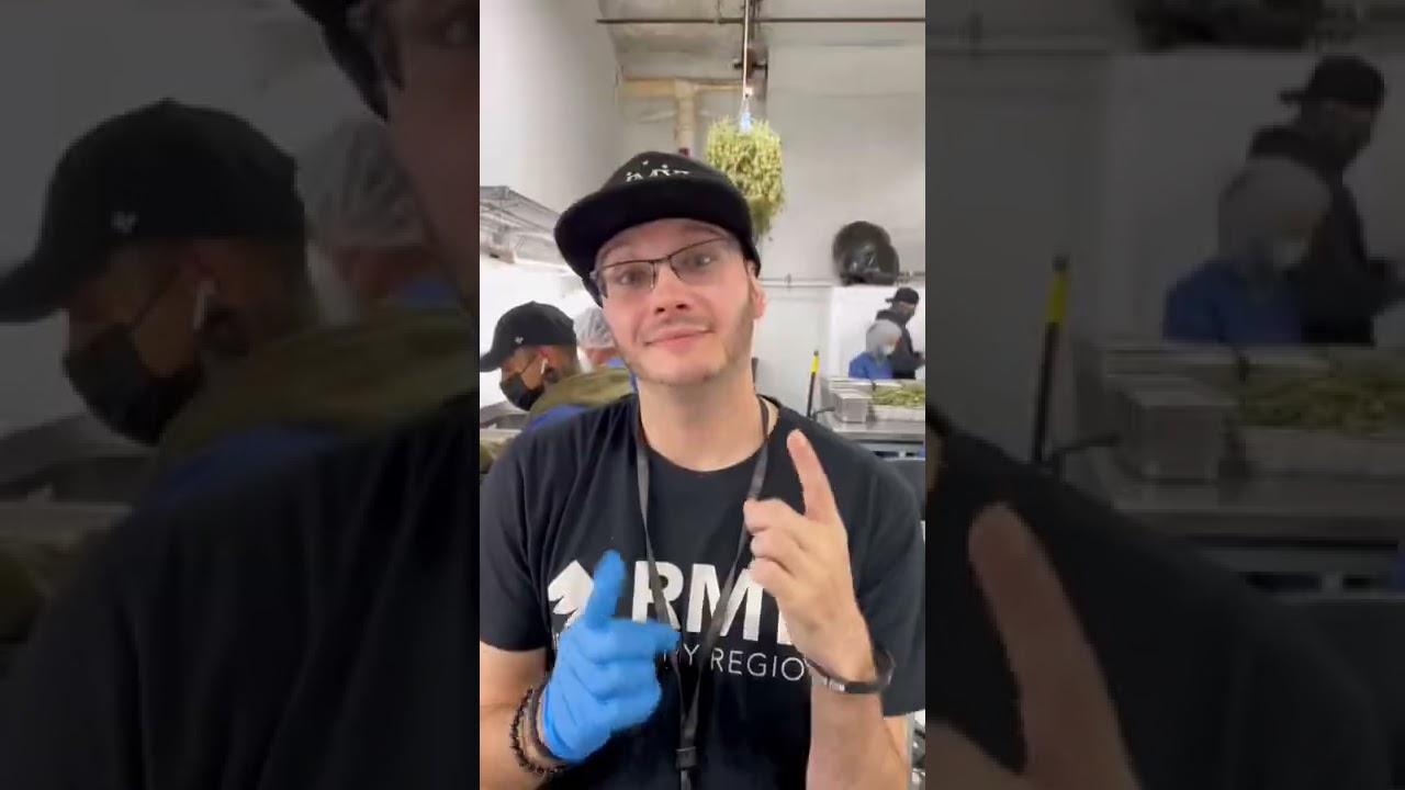 Respect My Region Tours Maven Genetics In Los Angeles, CA