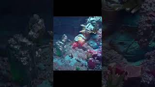 Procedural Workflows for Games using Houdini with Giovani Magana