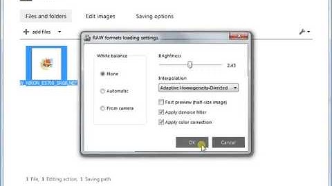 Tune RAW formats loading settings during image conversion with reaConverter