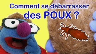 Comment Se Débarrasser Des Poux ? Et Pourquoi Cest Compliqué