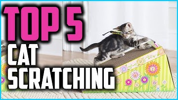 ✅ 5 Best Cat Scratching of 2024