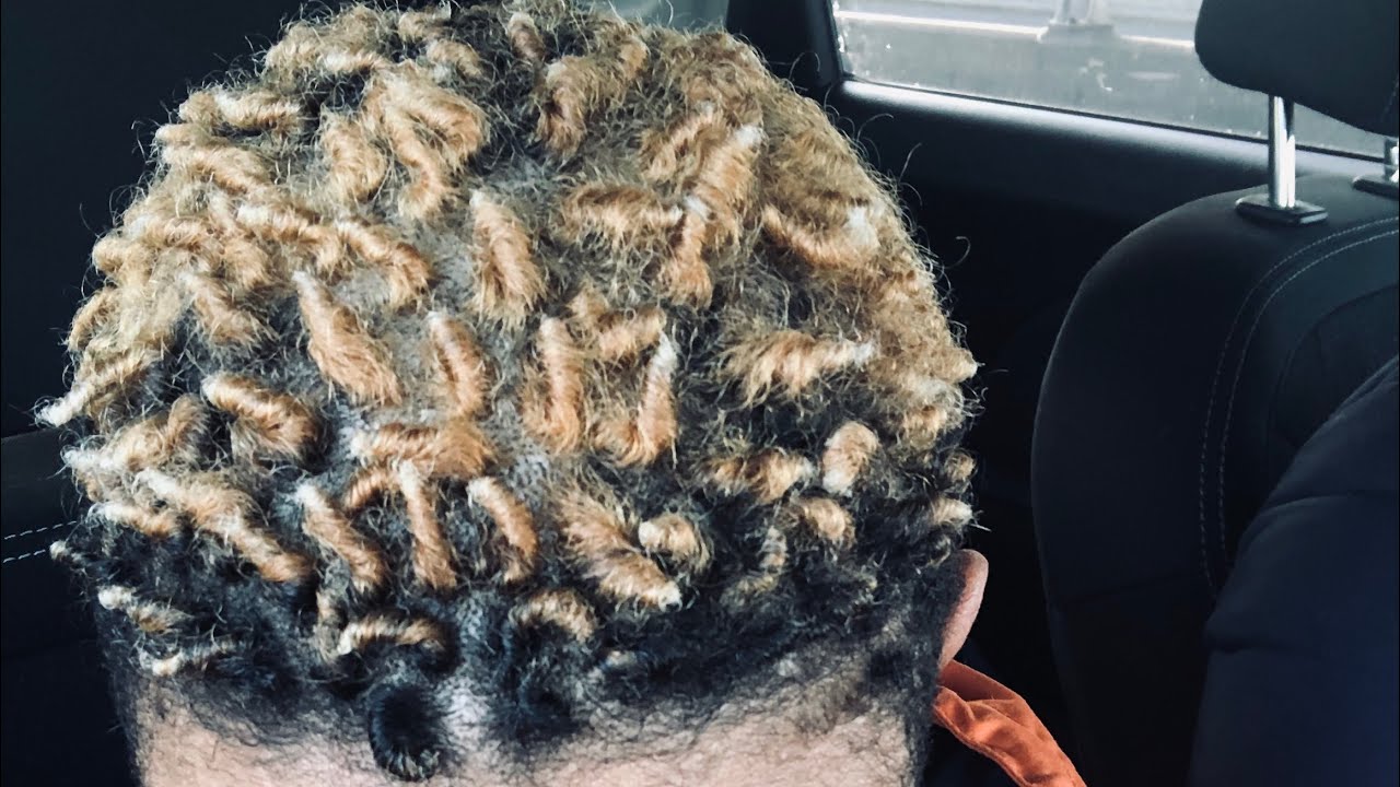 Starter Locs with Sponge Brush YouTube