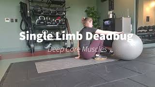How to do a Single Limb Deadbug