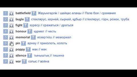 Remebrance Day in Australia (Vocabulary) Excel 9 Module 6f