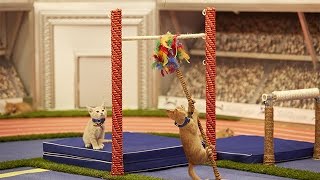 Road to the Kitten Summer Games - Episode 7: Pole Vaulting Medal Contenders – Kitten Summer Games screenshot 3