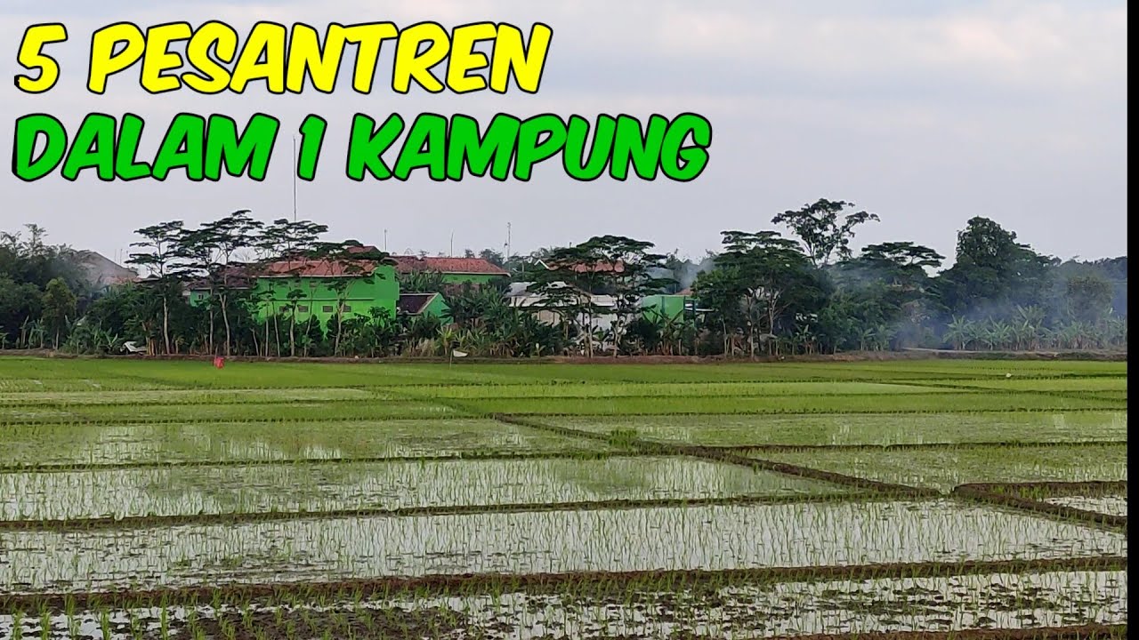 Suasana Desa Bikin Hati Sejuk | Suasana Pedesaan tentram dan damai