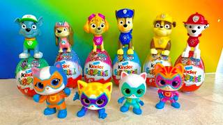 Paw Patrol &amp; Super Kitties Surprise Mystery Eggs!🤪