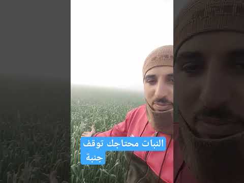 ازاى تحمى محصولك من الشبورة المائية والصقيع والرطوبة العالية