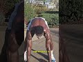 20-MIN FULL-BODY POWER HIIT 🔥 #20MinWorkout #FatBurnWorkout #HIITTraining #viral #FitnessCoach