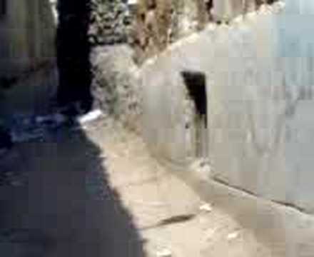 ما تقولش ايه اديتنا مصر