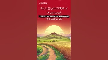 تلاوة هادئة تريح الأعصاب😴🎧 | القاريء ريان المحيسني- سورة القصص ✨🌥️" #القرآن_الكريم #القرآن #islam